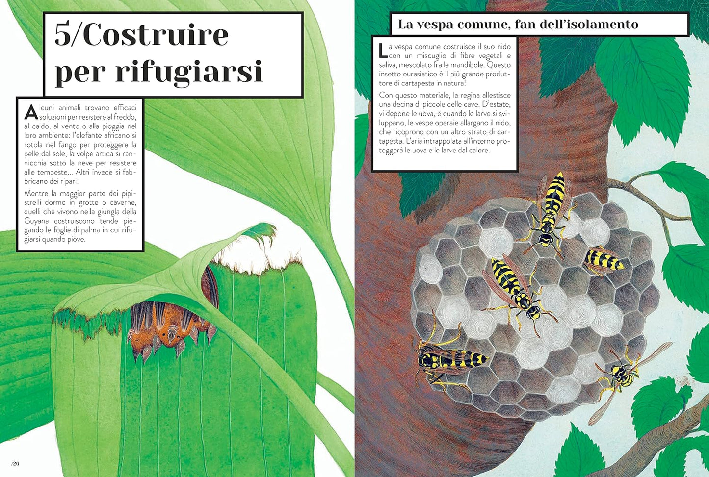 Animali tuttofare - pagina interna 1