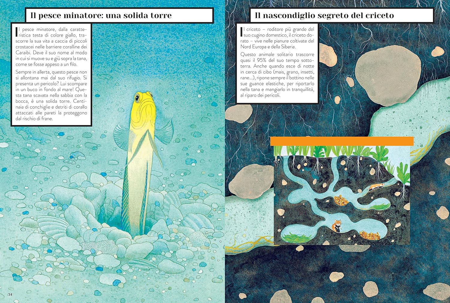 Animali tuttofare - pagina interna 3