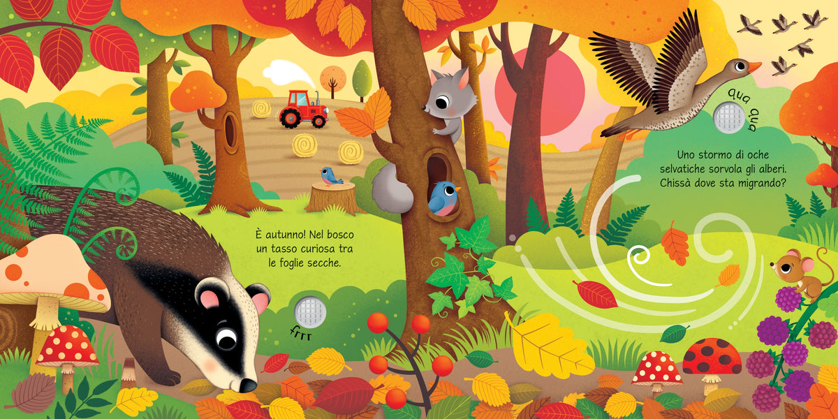 Le stagioni dell'anno - Usborne - pagine interne