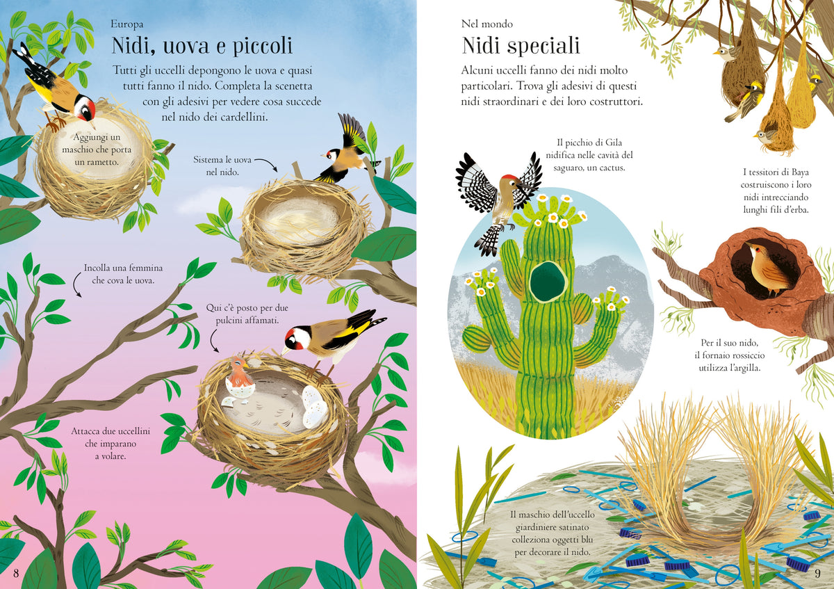Piccoli libri con adesivi - Uccelli - Usborne - pagine interne