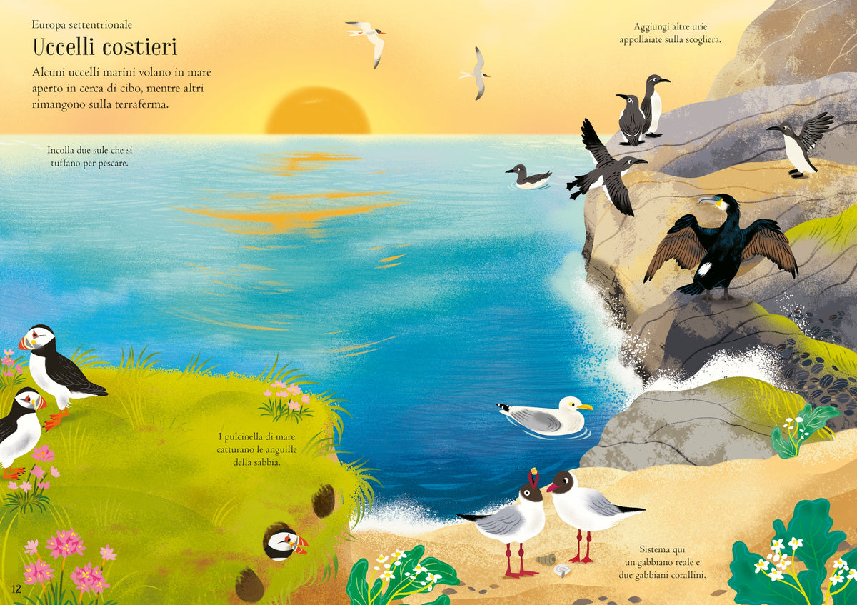 Piccoli libri con adesivi - Uccelli - Usborne - pagine interne