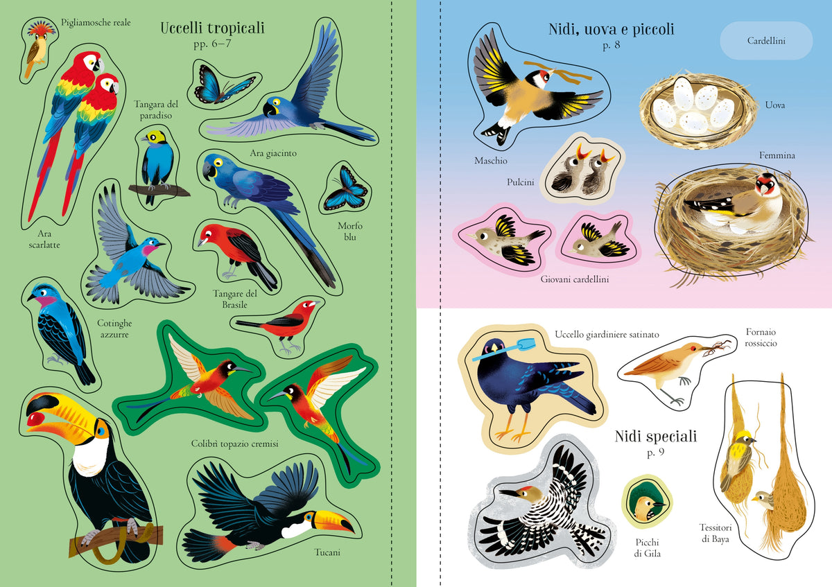 Piccoli libri con adesivi - Uccelli - Usborne - pagine interne