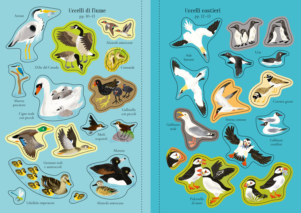 Piccoli libri con adesivi - Uccelli - Usborne - pagine interne