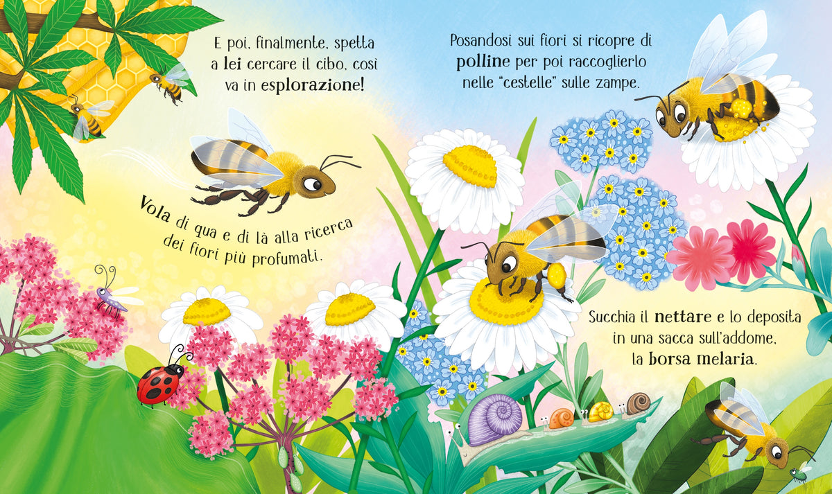 Il ciclo della vita - L'ape - Usborne - pagine interne