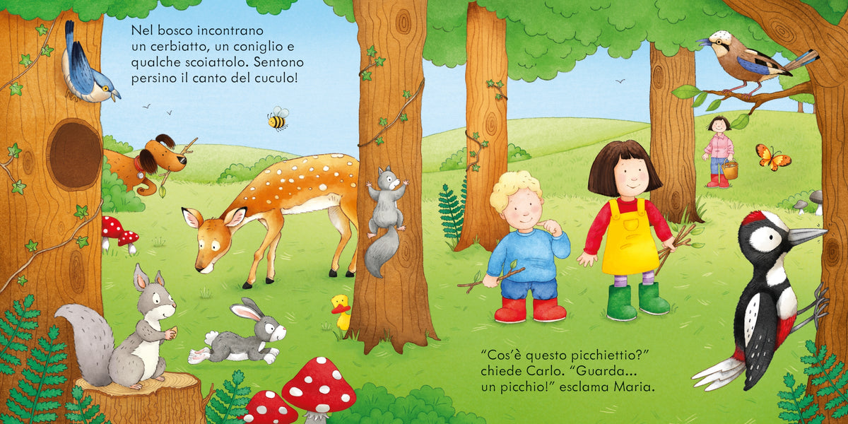 Passeggiata nella natura - Usborne - pagine interne
