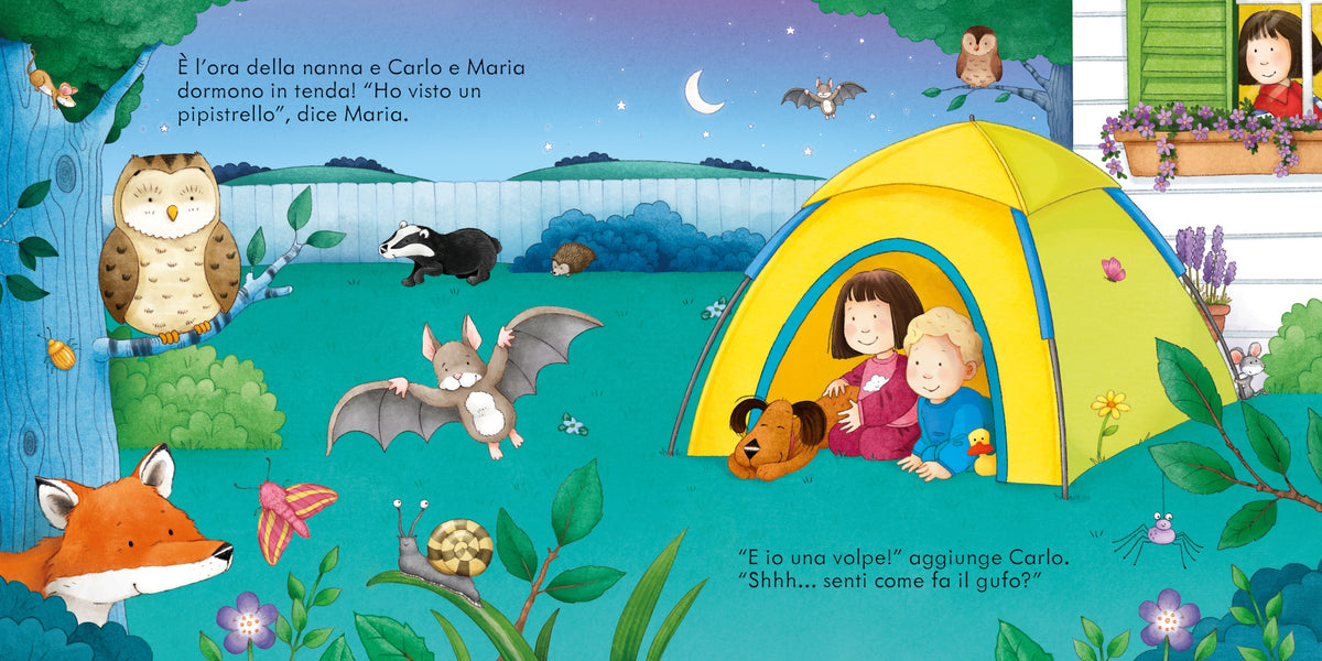 Passeggiata nella natura - Usborne - pagine interne