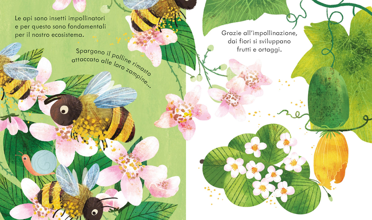 Libri cucù - Le api - Usborne - pagine interne
