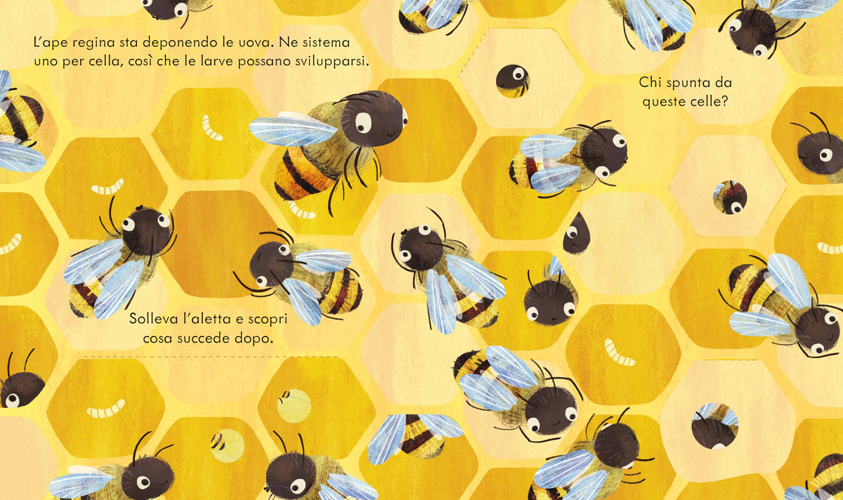Libri cucù - Le api - Usborne - pagine interne