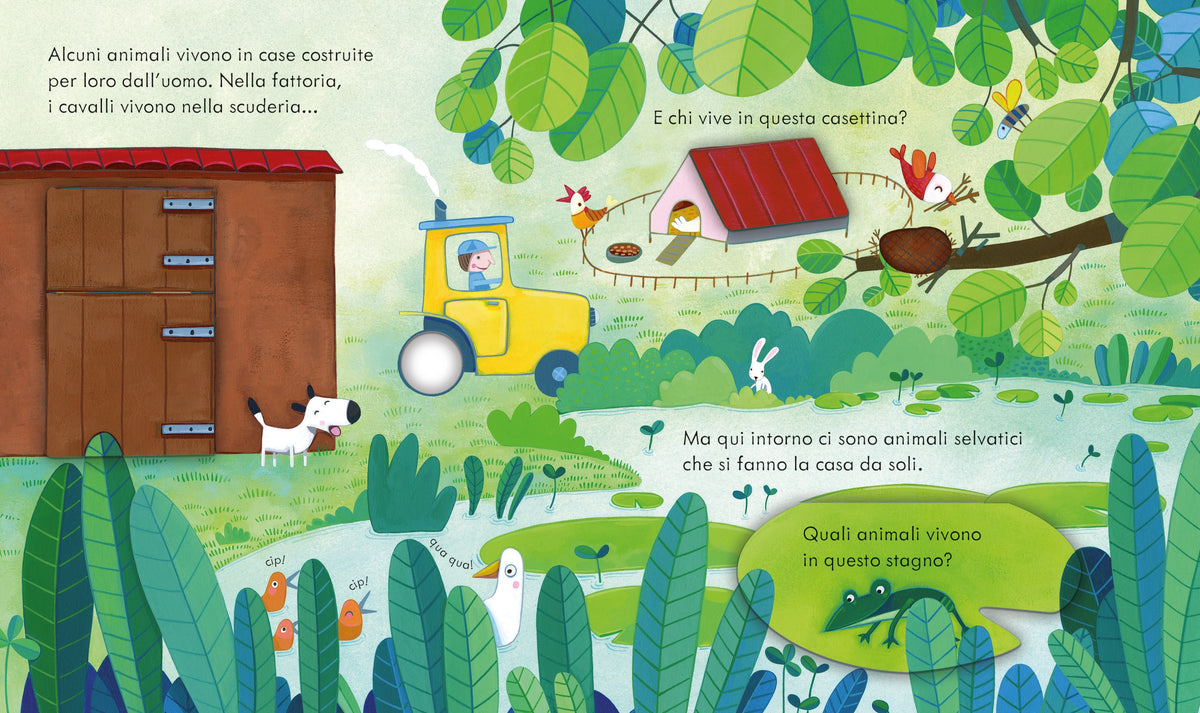 Libri cucù - Case degli animali - Usborne - pagine interne