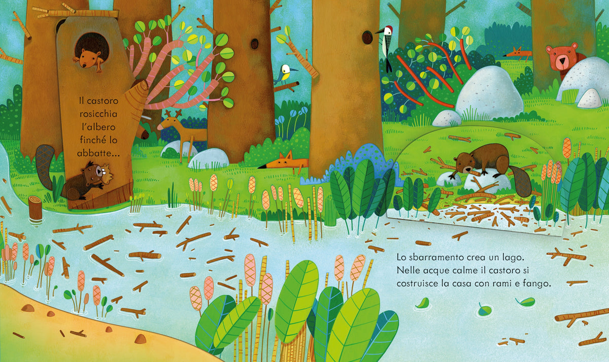 Libri cucù - Case degli animali - Usborne - pagine interne