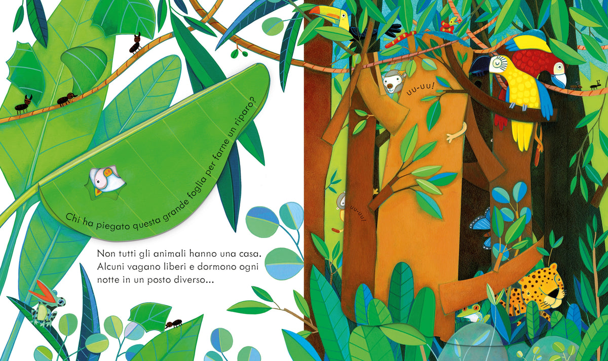 Libri cucù - Case degli animali - Usborne - pagine interne