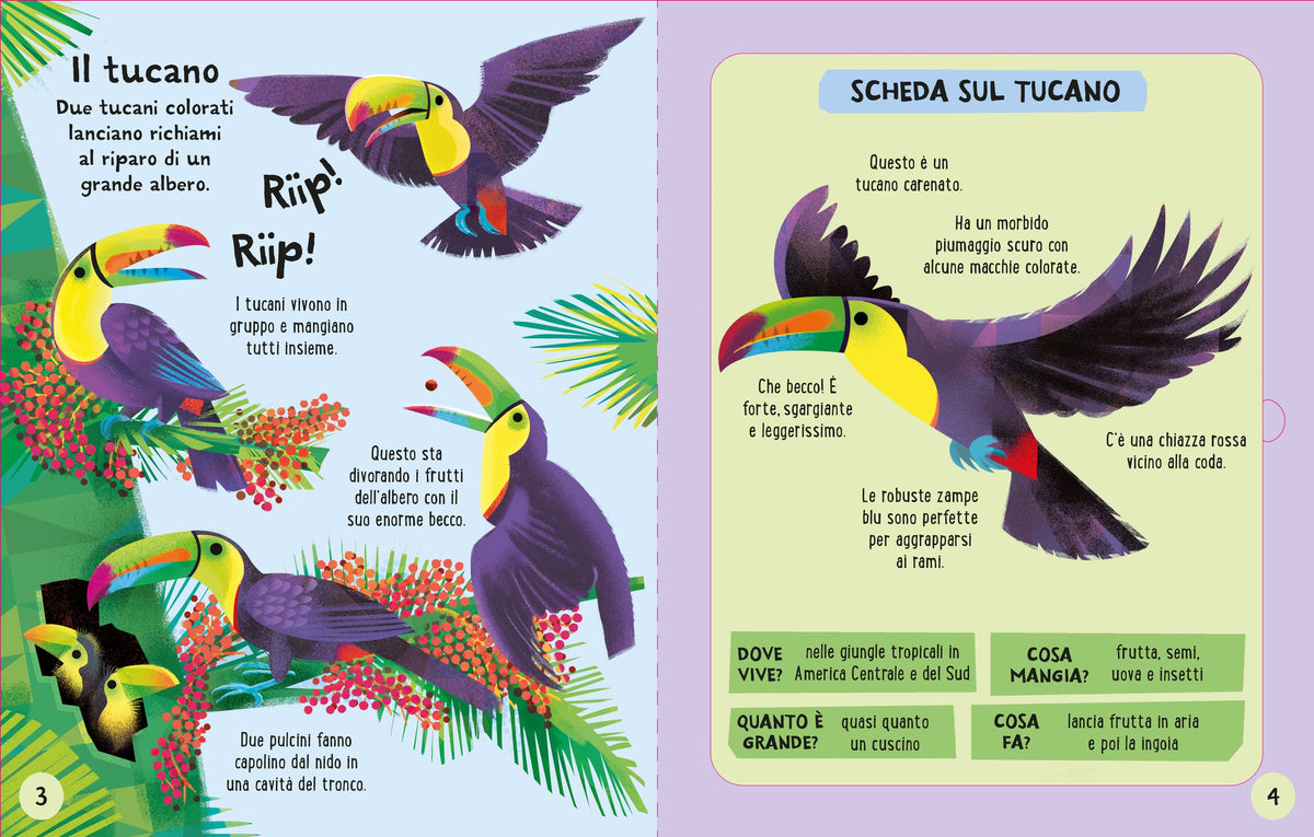 Costruisci e gioca - Animali della giungla - Usborne - pagine interne