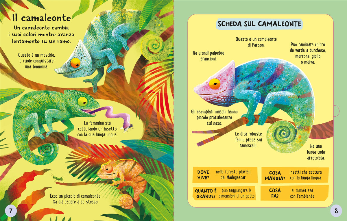 Costruisci e gioca - Animali della giungla - Usborne - pagine interne