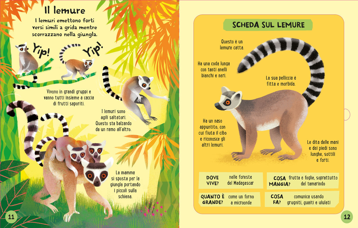 Costruisci e gioca - Animali della giungla - Usborne - pagine interne