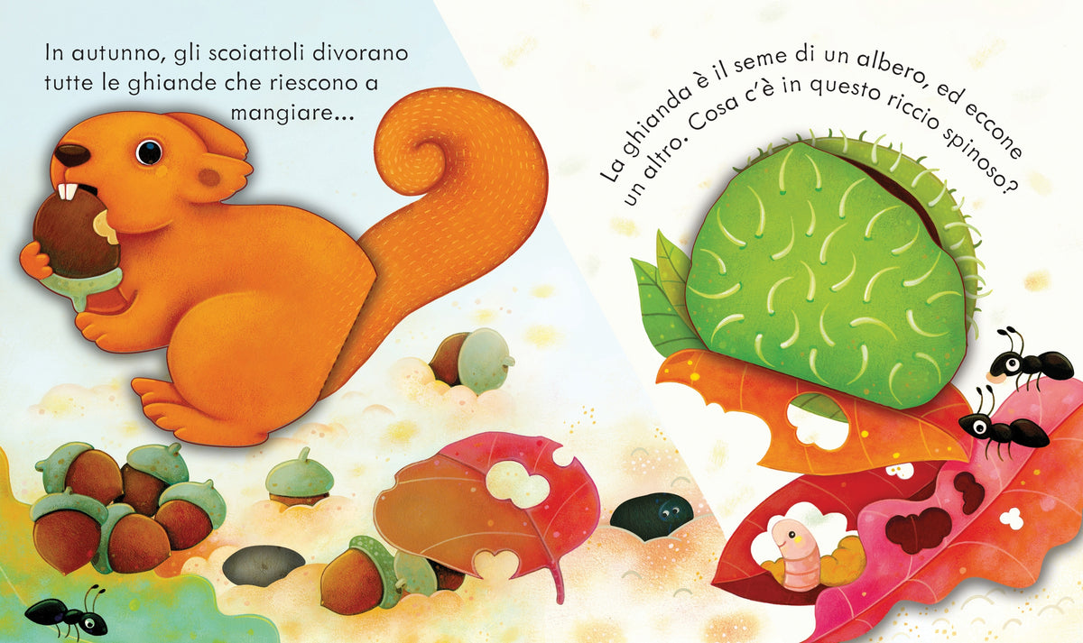 Libri cucù - Autunno - Usborne - pagine interne