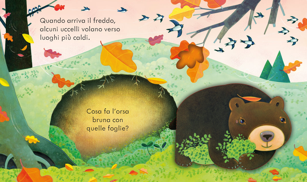 Libri cucù - Autunno - Usborne - pagine interne