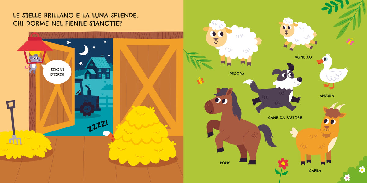 Libri con calamite - Fattoria - Usborne - pagine interne