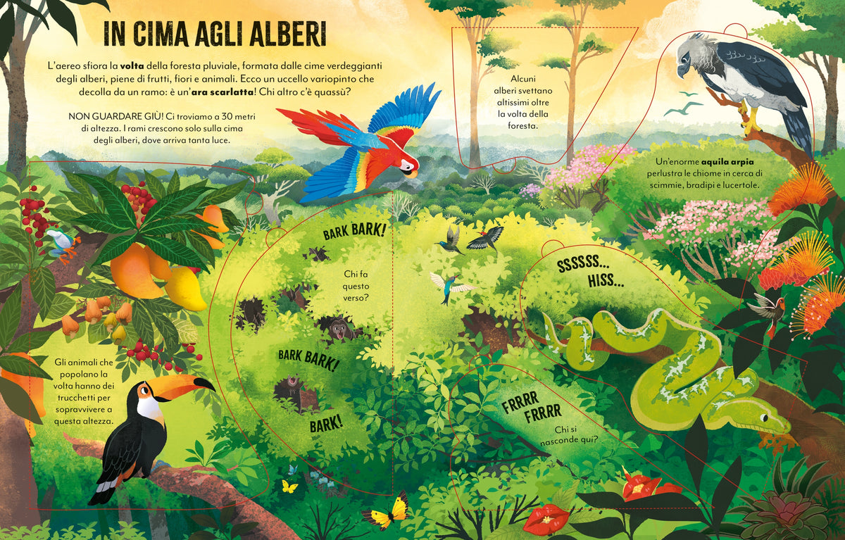 Viaggio in Amazzonia - Usborne - pagine interne