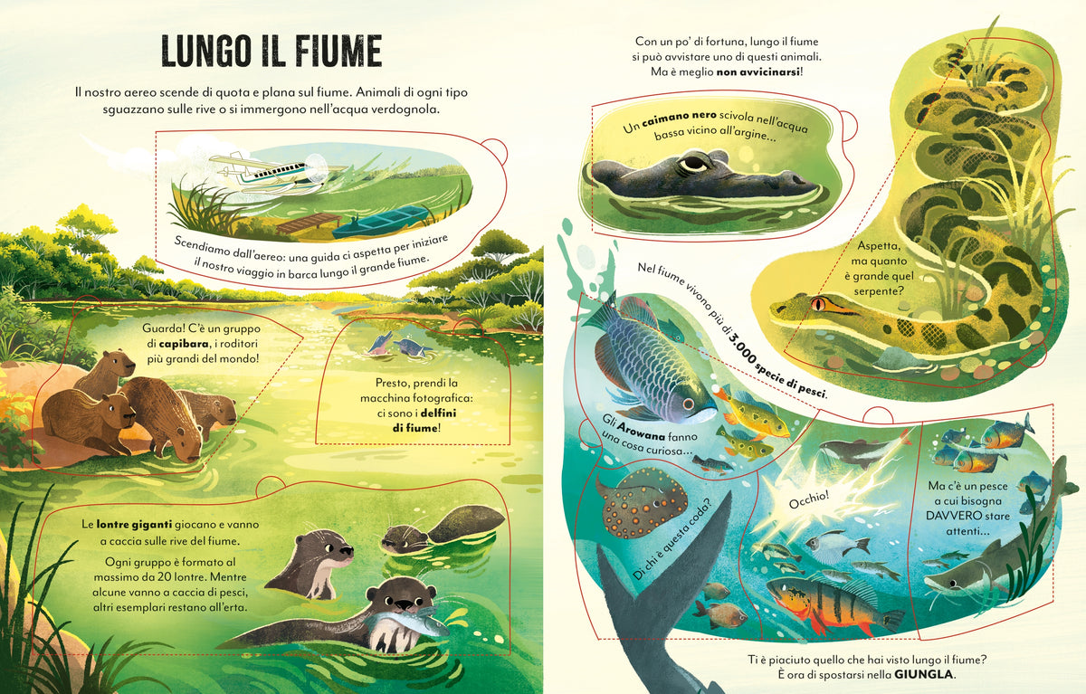 Viaggio in Amazzonia - Usborne - pagine interne