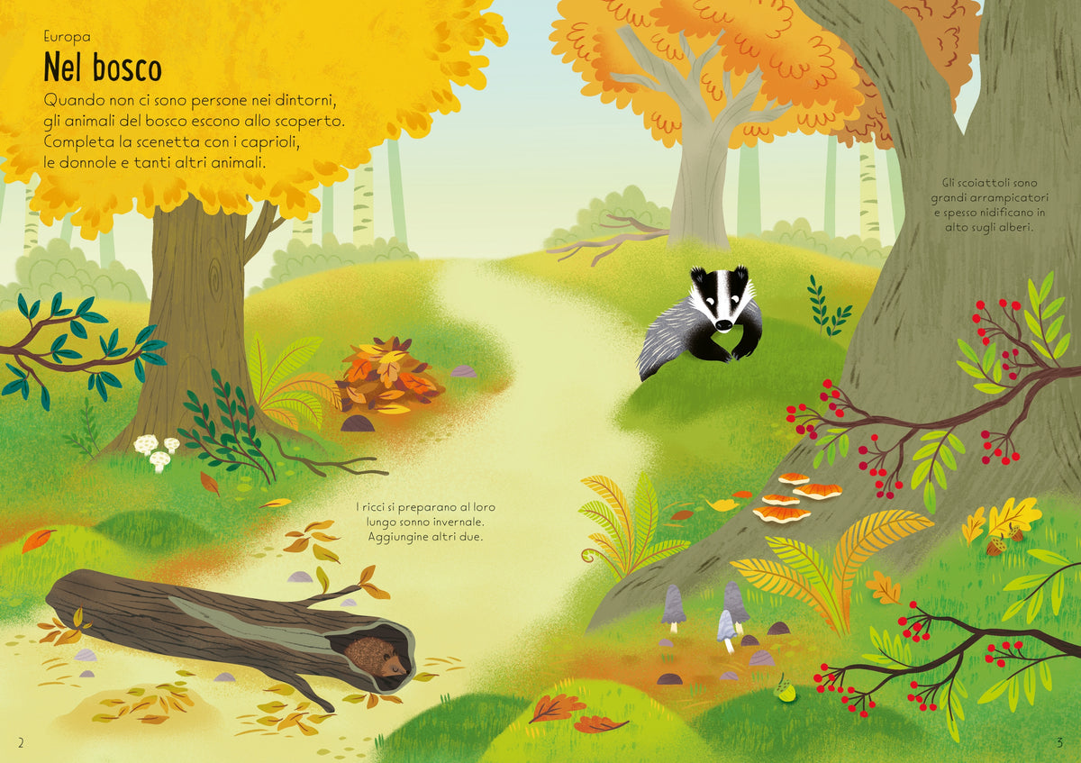 La natura intorno a noi - Usborne - pagine interne