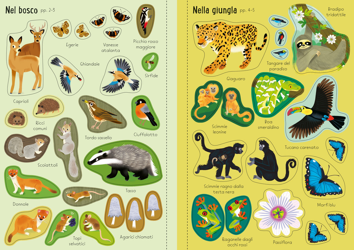 La natura intorno a noi - Usborne - pagine interne