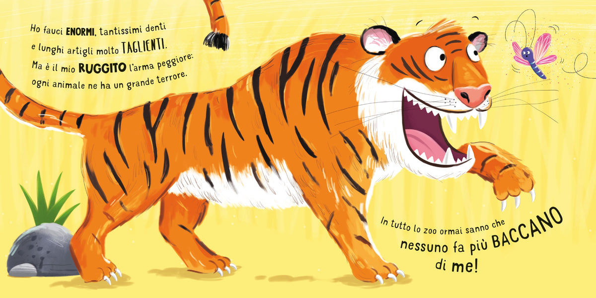 Che baccano allo zoo! - Usborne - pagine interne