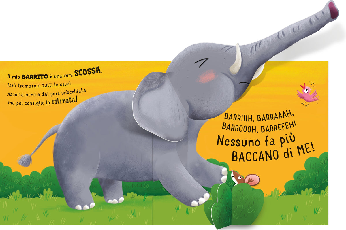 Che baccano allo zoo! - Usborne - pagine interne