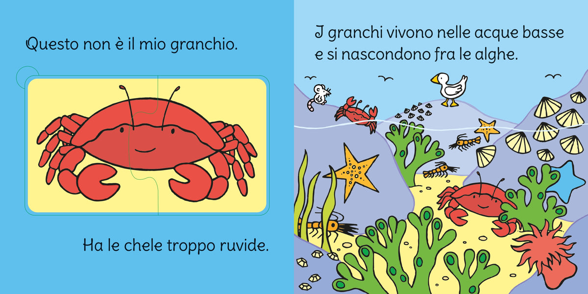 Carezzapuzzle - Nel mare - Usborne - pagine interne