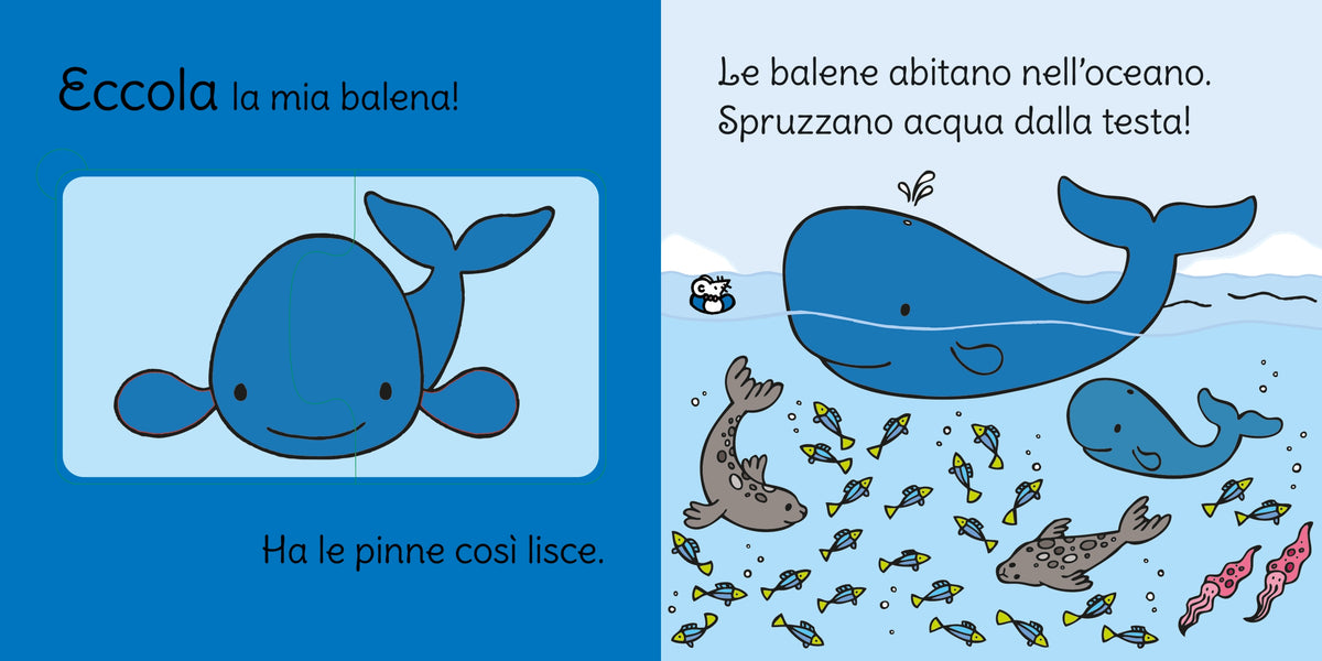 Carezzapuzzle - Nel mare - Usborne - pagine interne