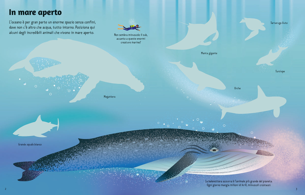 Libri con adesivi - Gli oceani - Usborne - pagine interne
