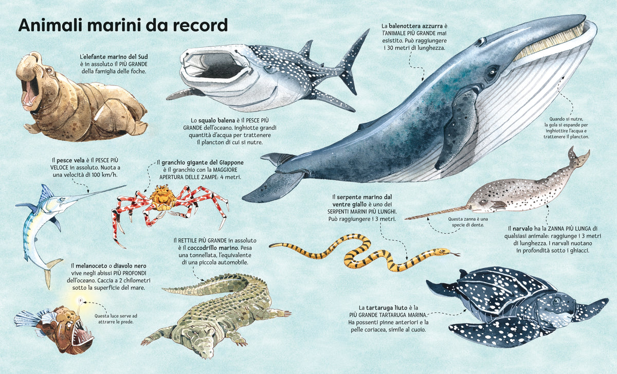 Il grande libro degli animali marini - Usborne - pagine interne