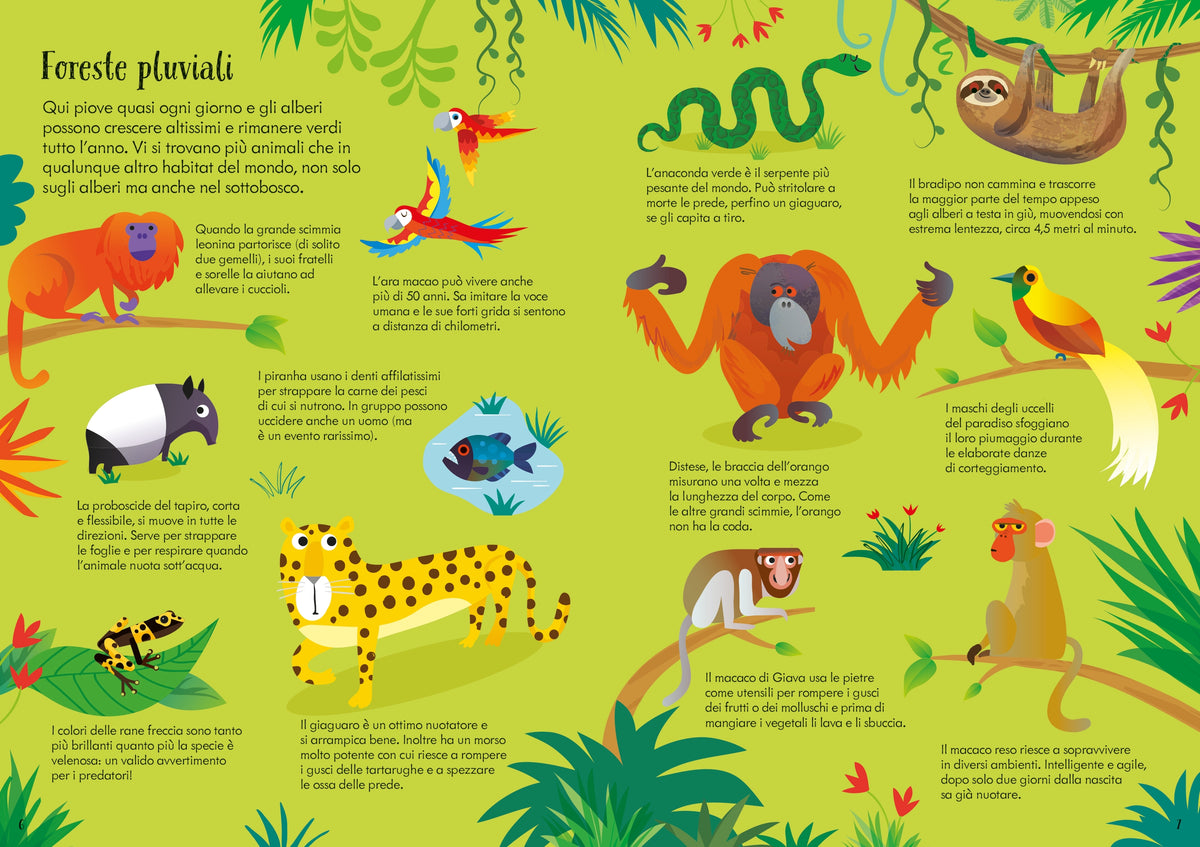 Libro e puzzle - Animali del mondo - Usborne - pagine interne