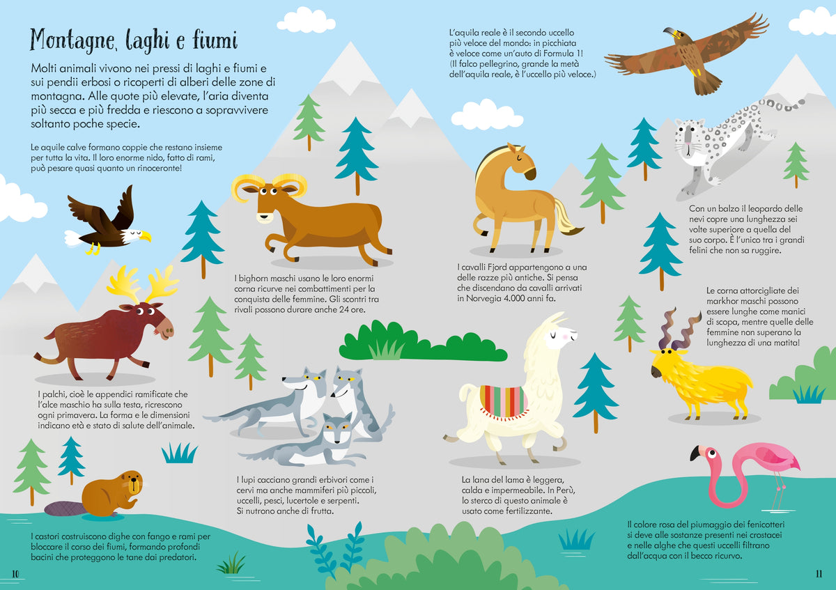 Libro e puzzle - Animali del mondo - Usborne - pagine interne