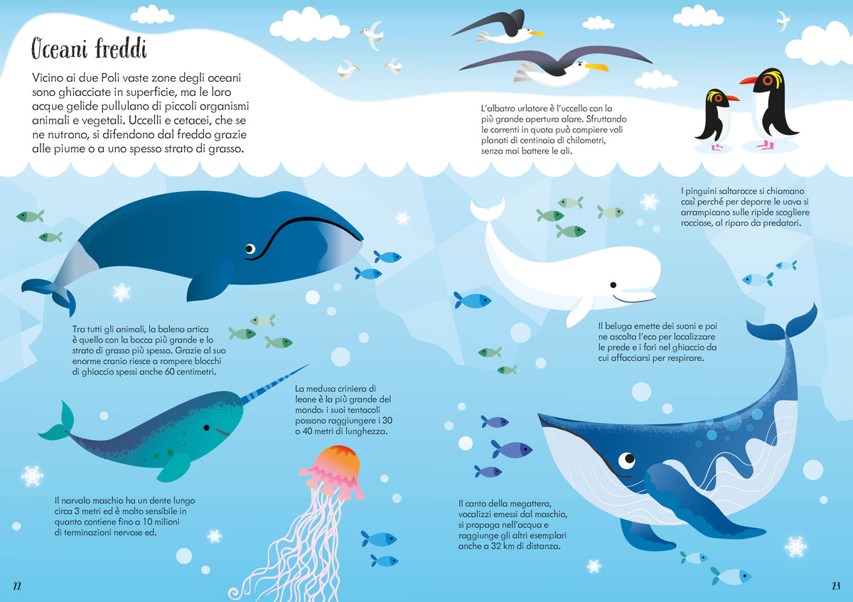 Libro e puzzle - Animali del mondo - Usborne - pagine interne