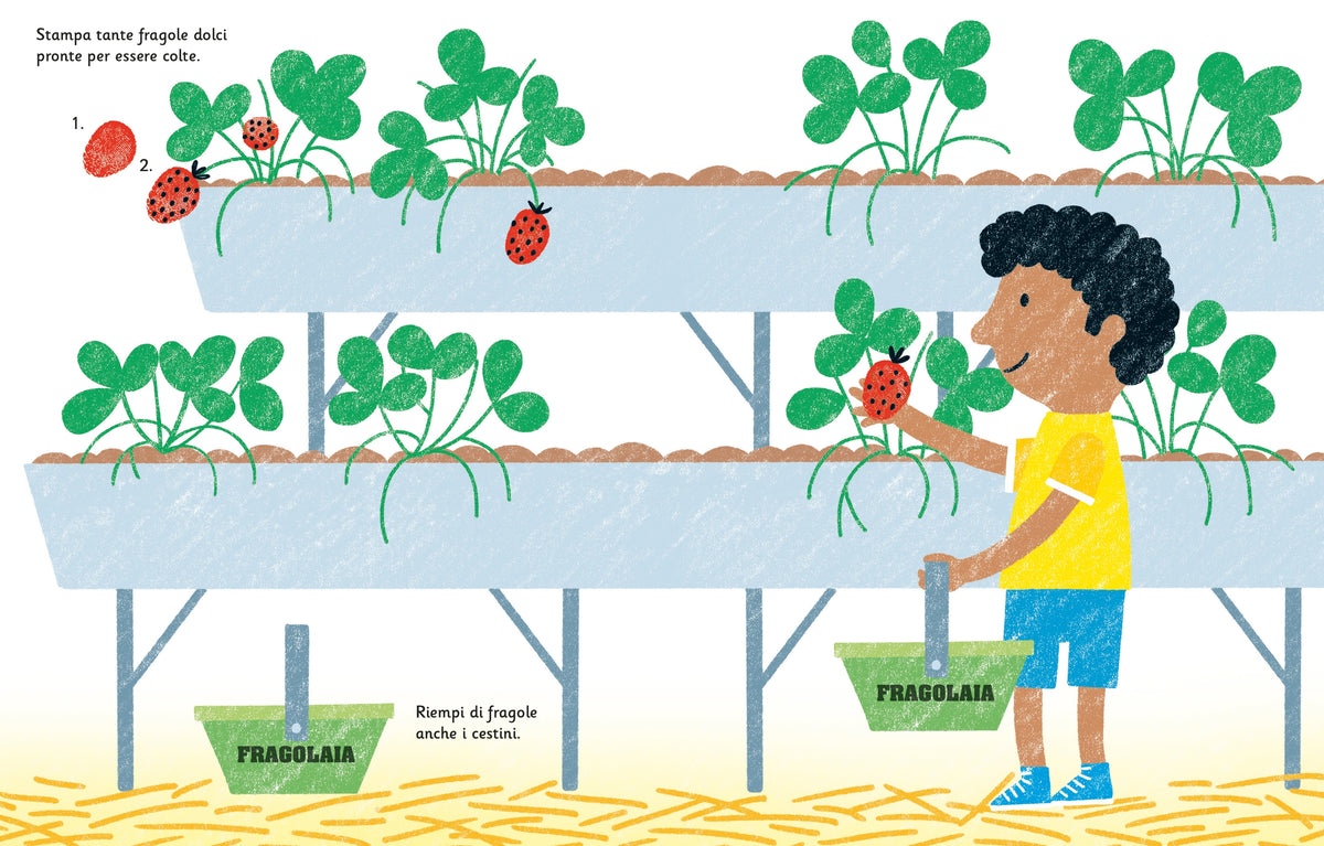 Disegno con le dita - Estate - Usborne - pagine interne