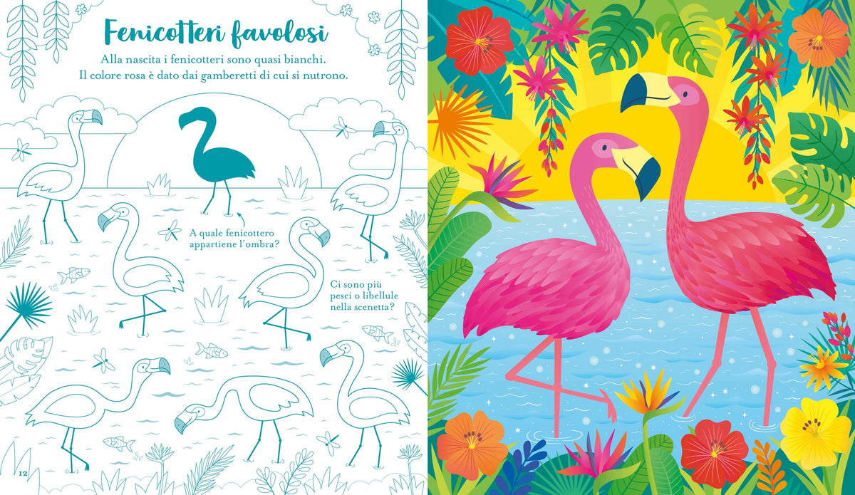 Gratta e gioca - Animali - Usborne - pagine interne