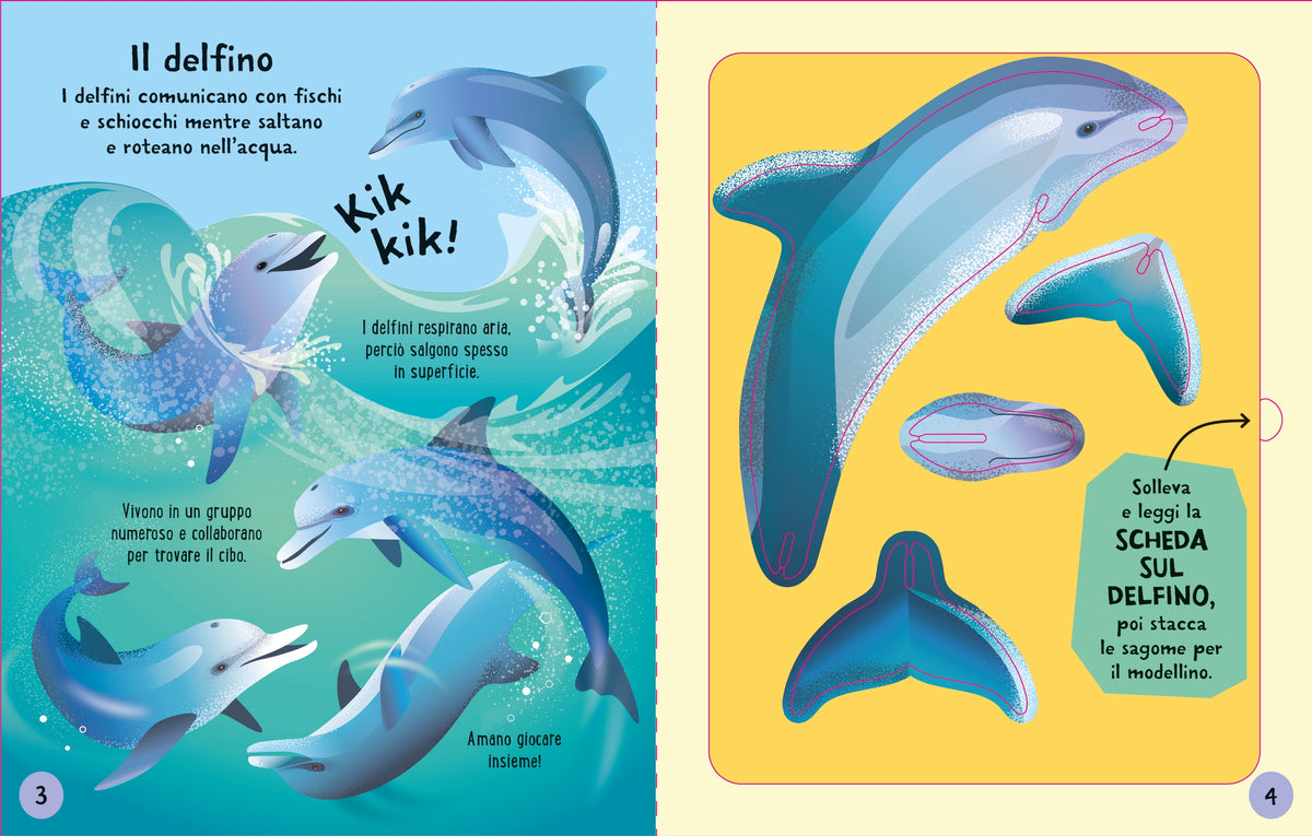 Costruisci e gioca - Animali marini - Usborne - pagine interne