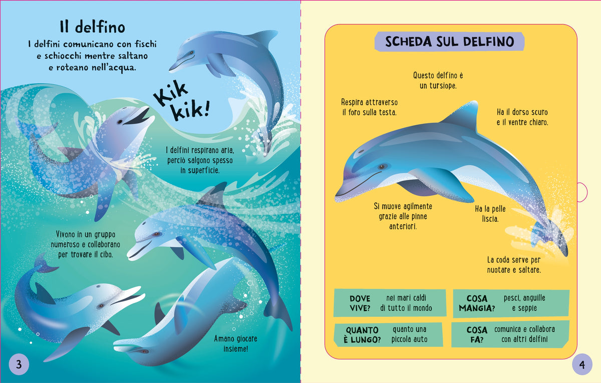 Costruisci e gioca - Animali marini - Usborne - pagine interne