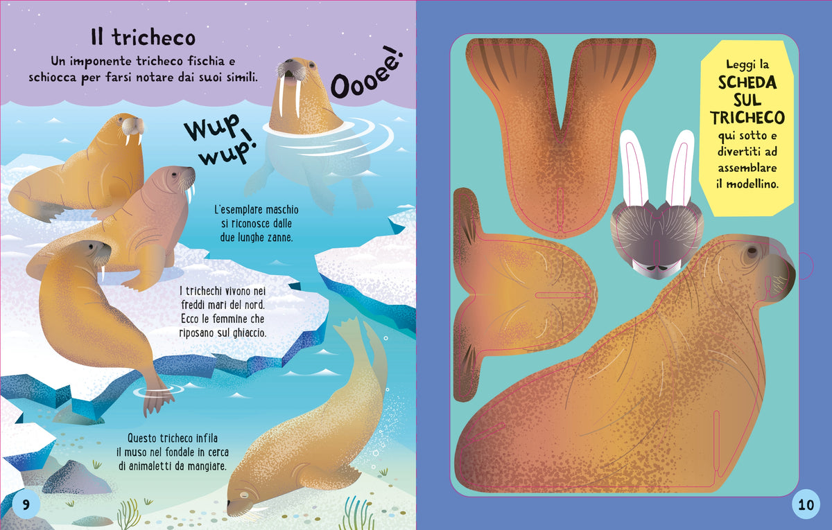 Costruisci e gioca - Animali marini - Usborne - pagine interne
