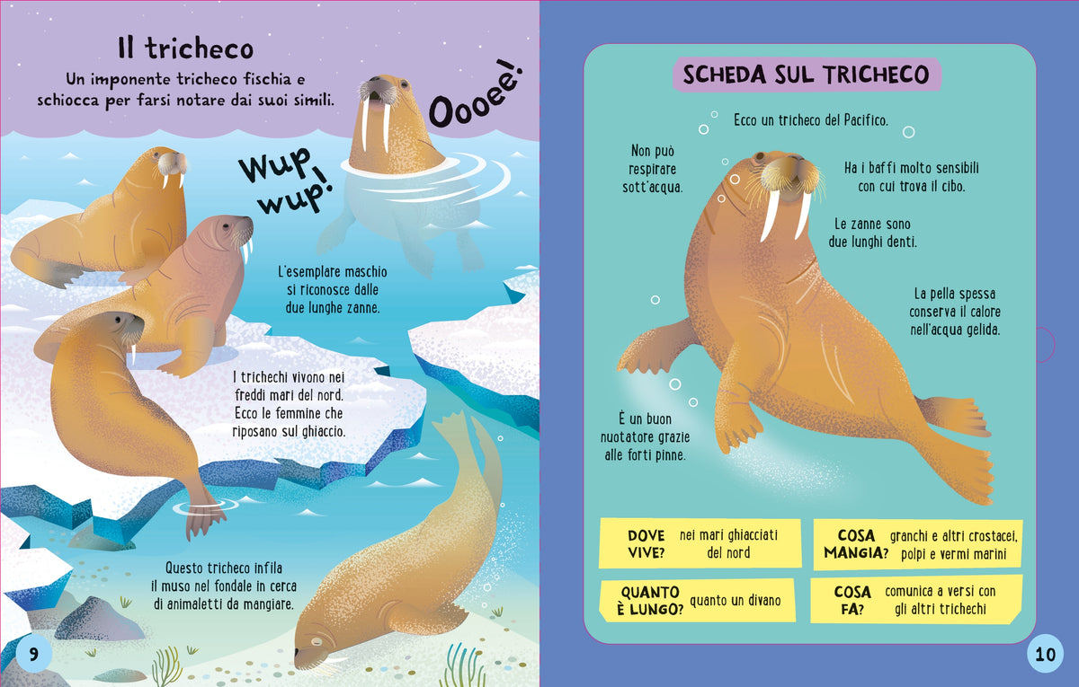 Costruisci e gioca - Animali marini - Usborne - pagine interne