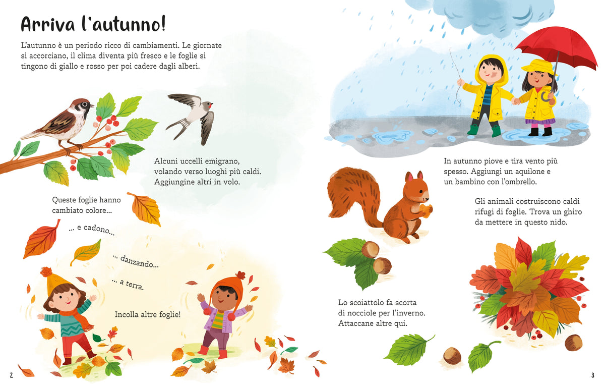 Libri con adesivi - Autunno - Usborne - pagine interne