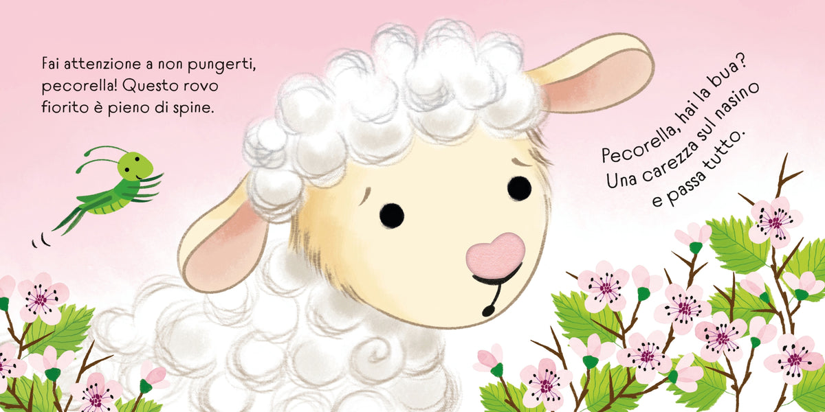 Pecorella ha la bua - Usborne - pagine interne