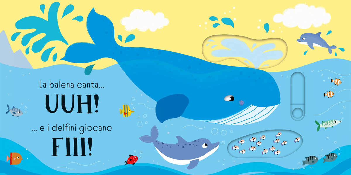 SPLASH! … fa lo squalo - Usborne - pagine interne