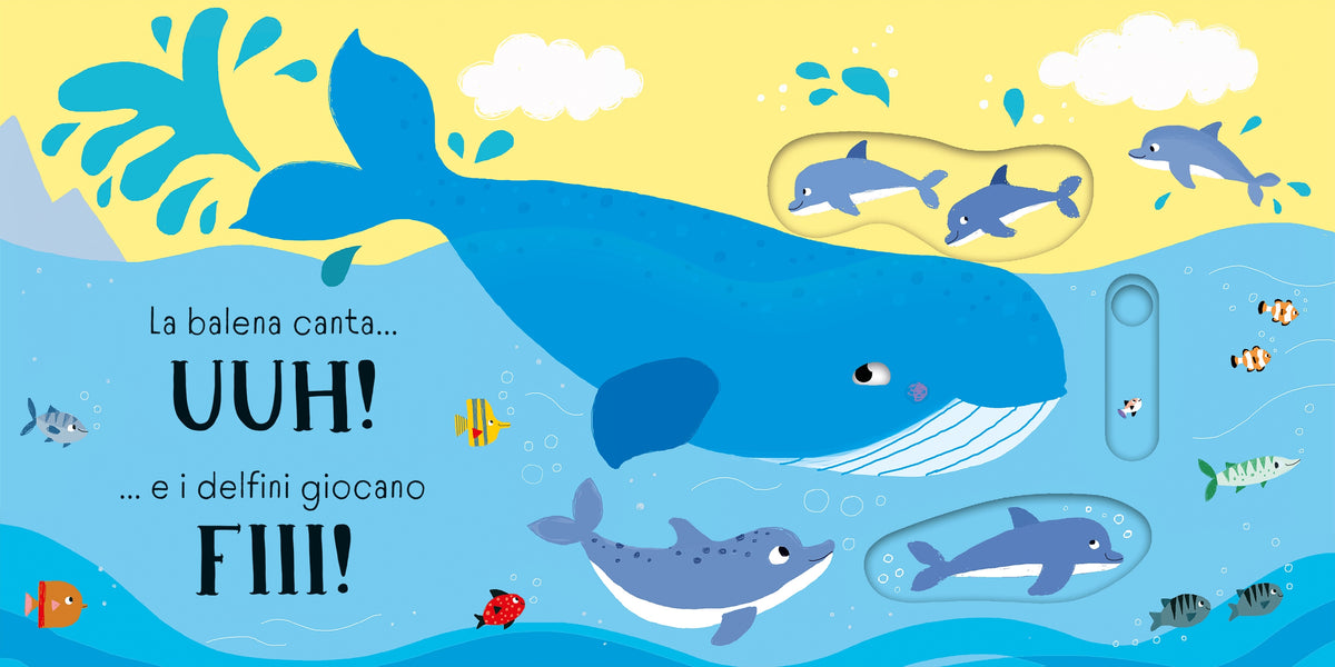 SPLASH! … fa lo squalo - Usborne - pagine interne