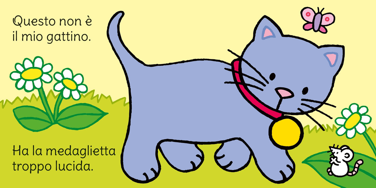 Dov'è il mio gattino? - Usborne - pagine interne