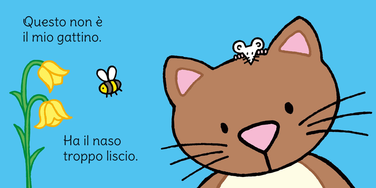 Dov'è il mio gattino? - Usborne - pagine interne