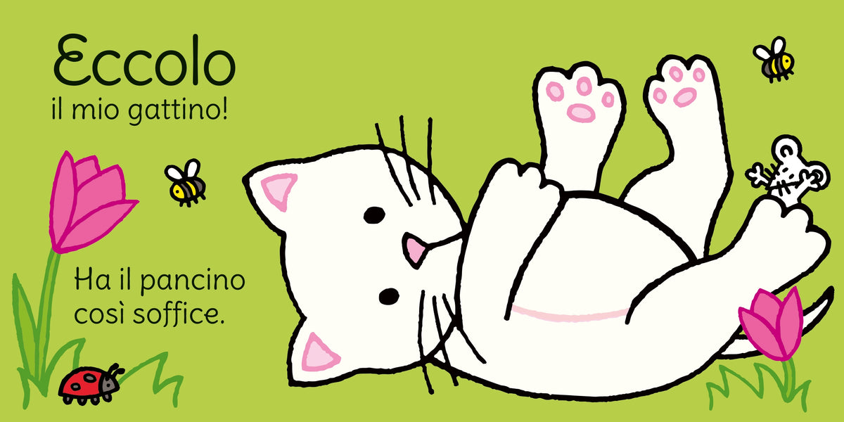 Dov'è il mio gattino? - Usborne - pagine interne