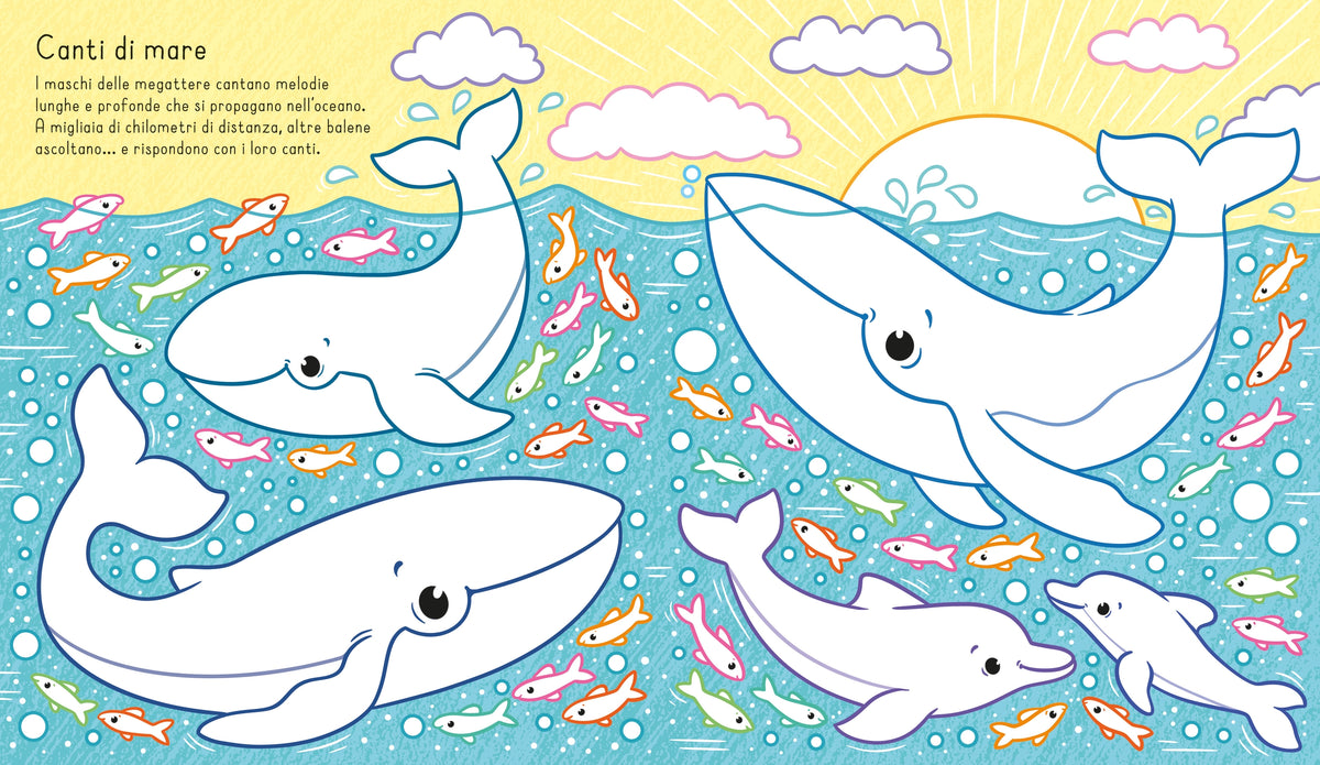 Carta magica - Nel mare - Usborne - pagine interne