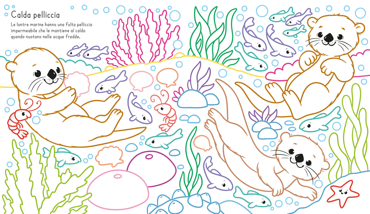 Carta magica - Nel mare - Usborne - pagine interne