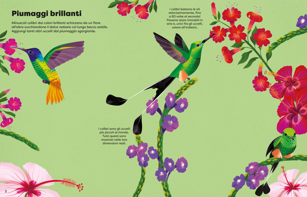 Adesivi scintillanti - Uccelli - Usborne - pagine interne